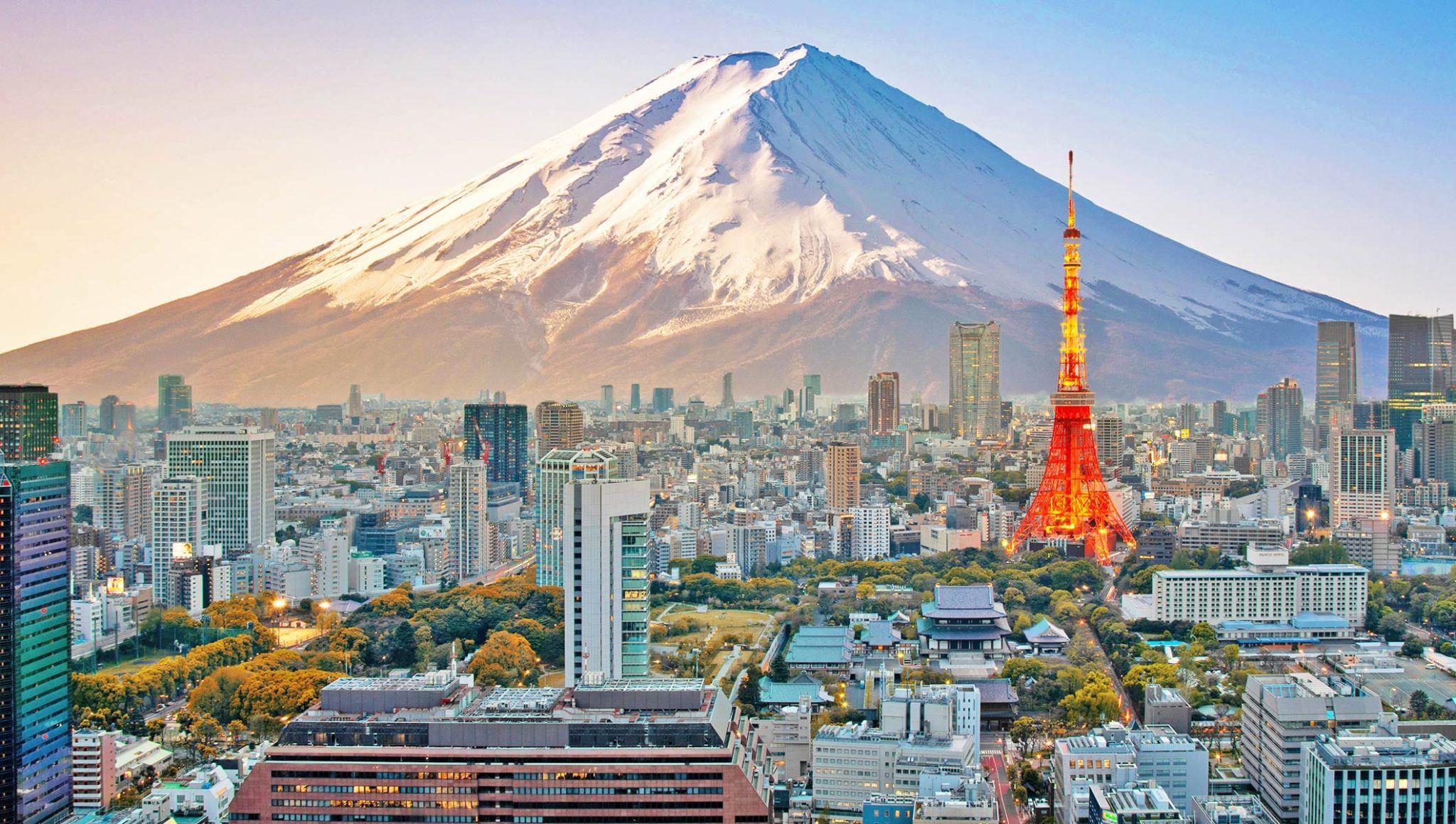 Osaka – Nara – Kyoto- Núi Phú Sĩ – Tokyo