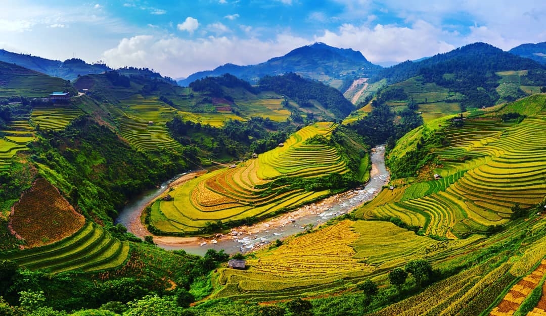 Tour Mù Cang Chải - Sapa mùa lúa chín 3N2Đ